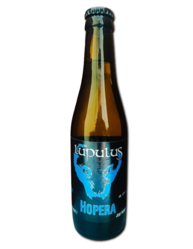 LUPULUS HOPERA