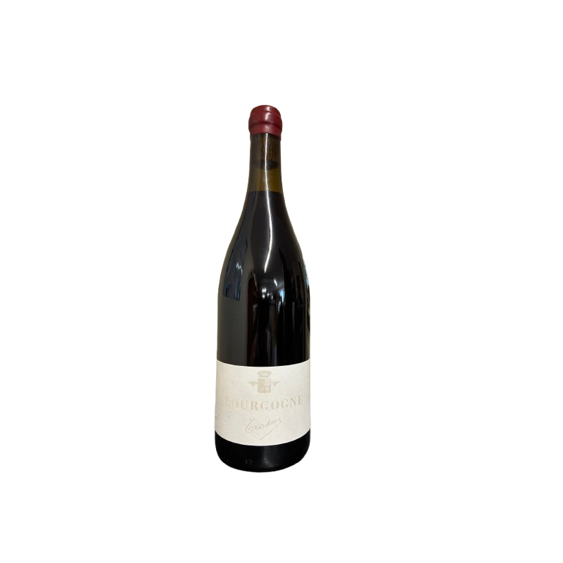 Bourgogne Rouge – Domaine Trapet Père & Fils | Vin Bourgogne