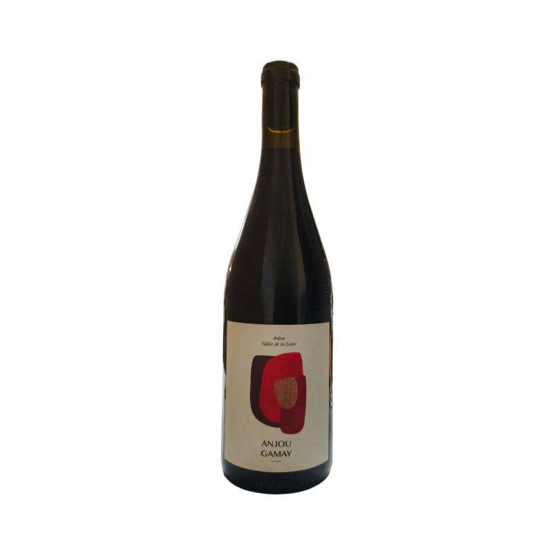 CHÂTEAU DE PLAISANCE Anjou Gamay – Vin Rouge Fruité & Gourmand | SODIEX
