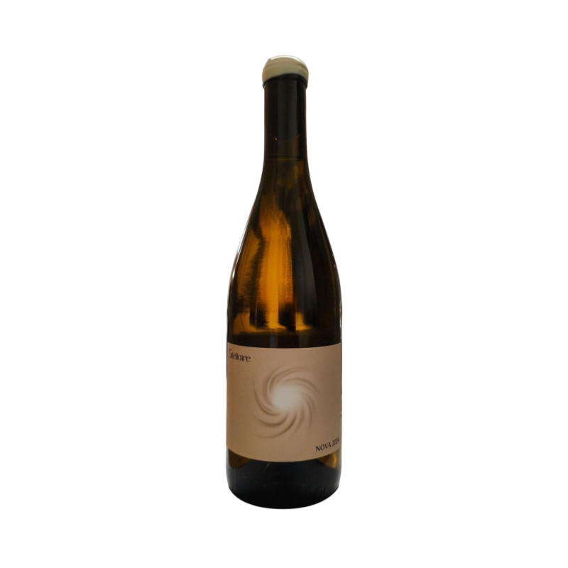 Vin STELLAIRE Nova 2024 en verre – Élégant et fruité
