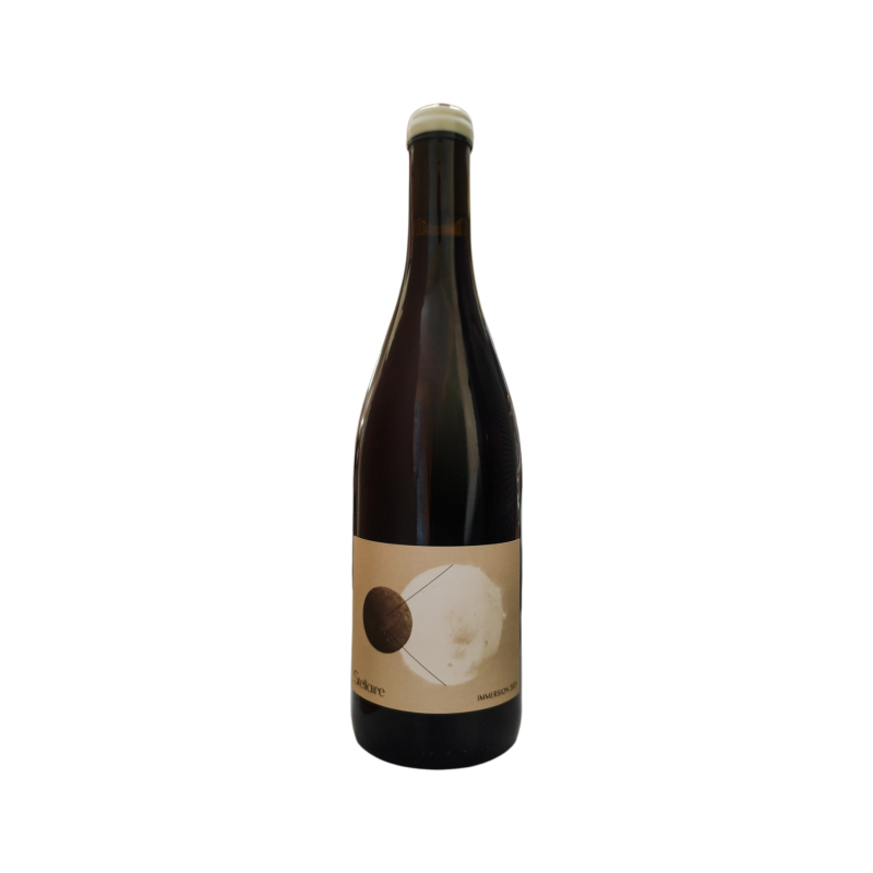 Vin STELLAIRE Immersion 2023 en verre – Frais et élégant