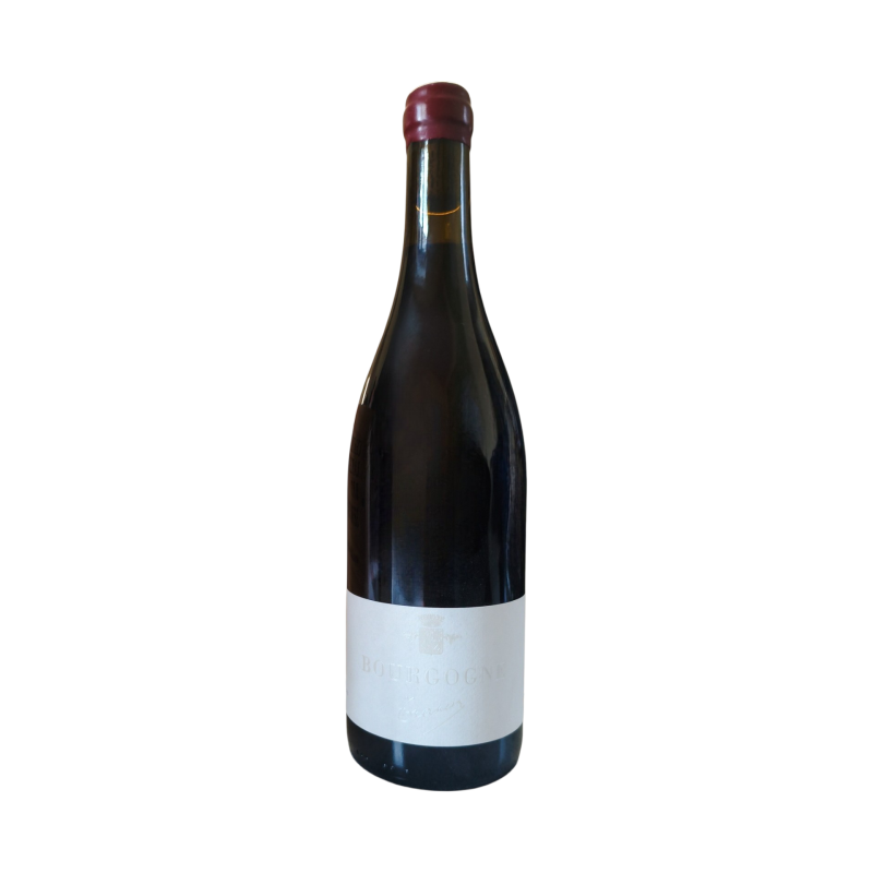 Domaine Trapet Bourgogne 2023 vin rouge élégant en verre