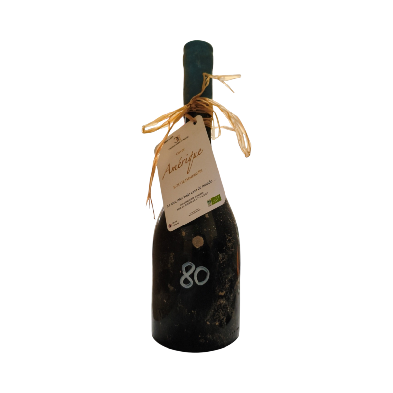 Château Saint Cyrgues Cuvée Amérique Rouge 2019 – Vin Rouge Verre