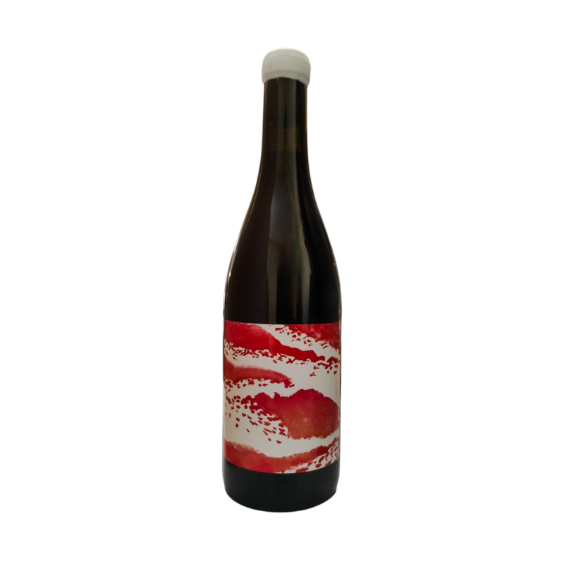 DOMAIN DE L'ÉCU VITAE MMXXII – Vin rouge en verre d’exception
