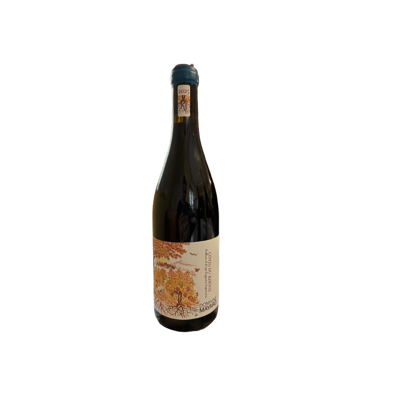 Côtes du Rhône Domaine Mayard 2025 - Vin Rouge AOP 75 cl